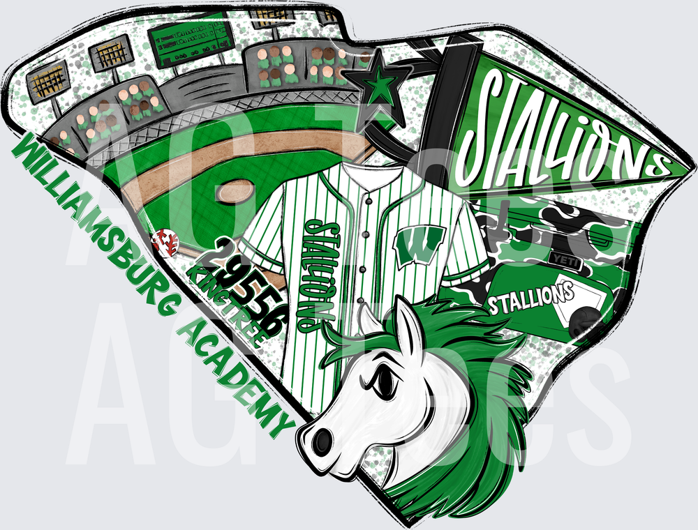 Williamsburg_Academy_baseball