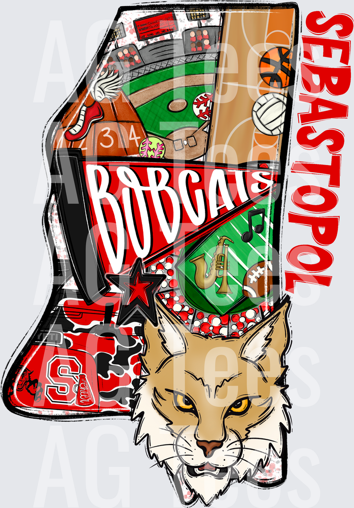 Sebastopol_Bobcats