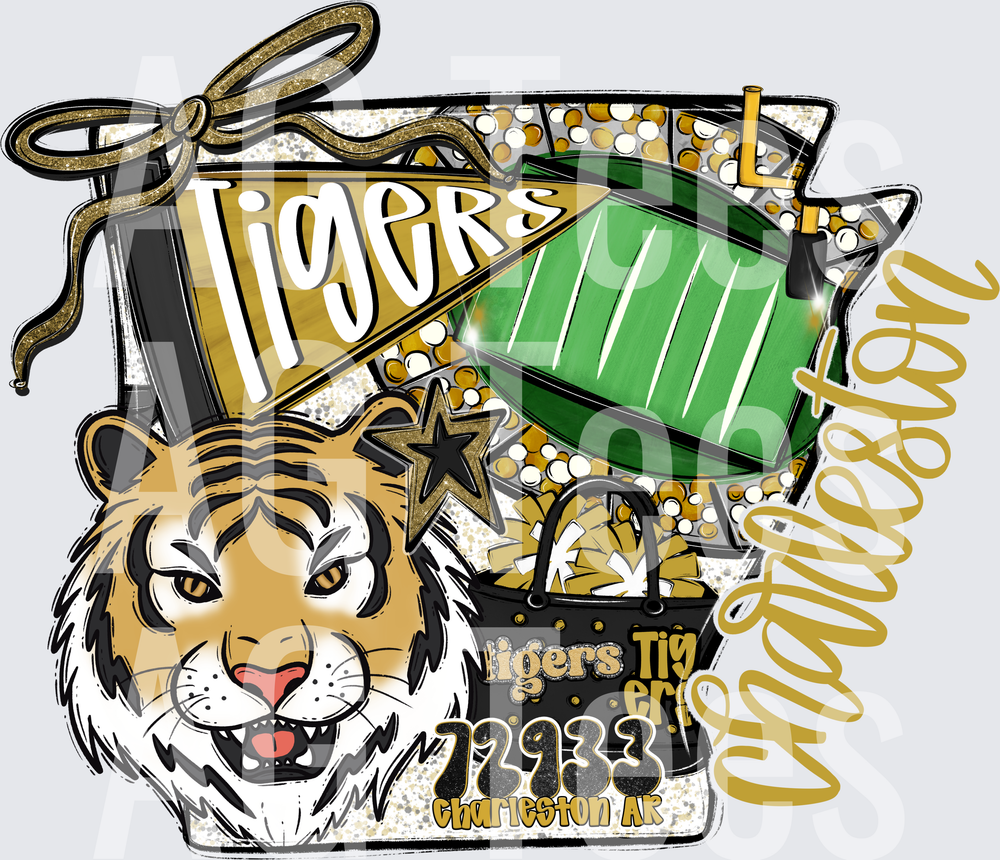 Charleston Tigers