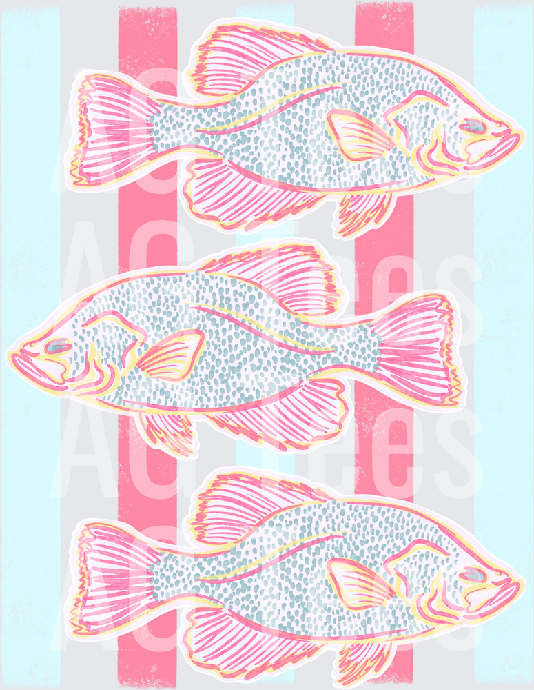 Crappie