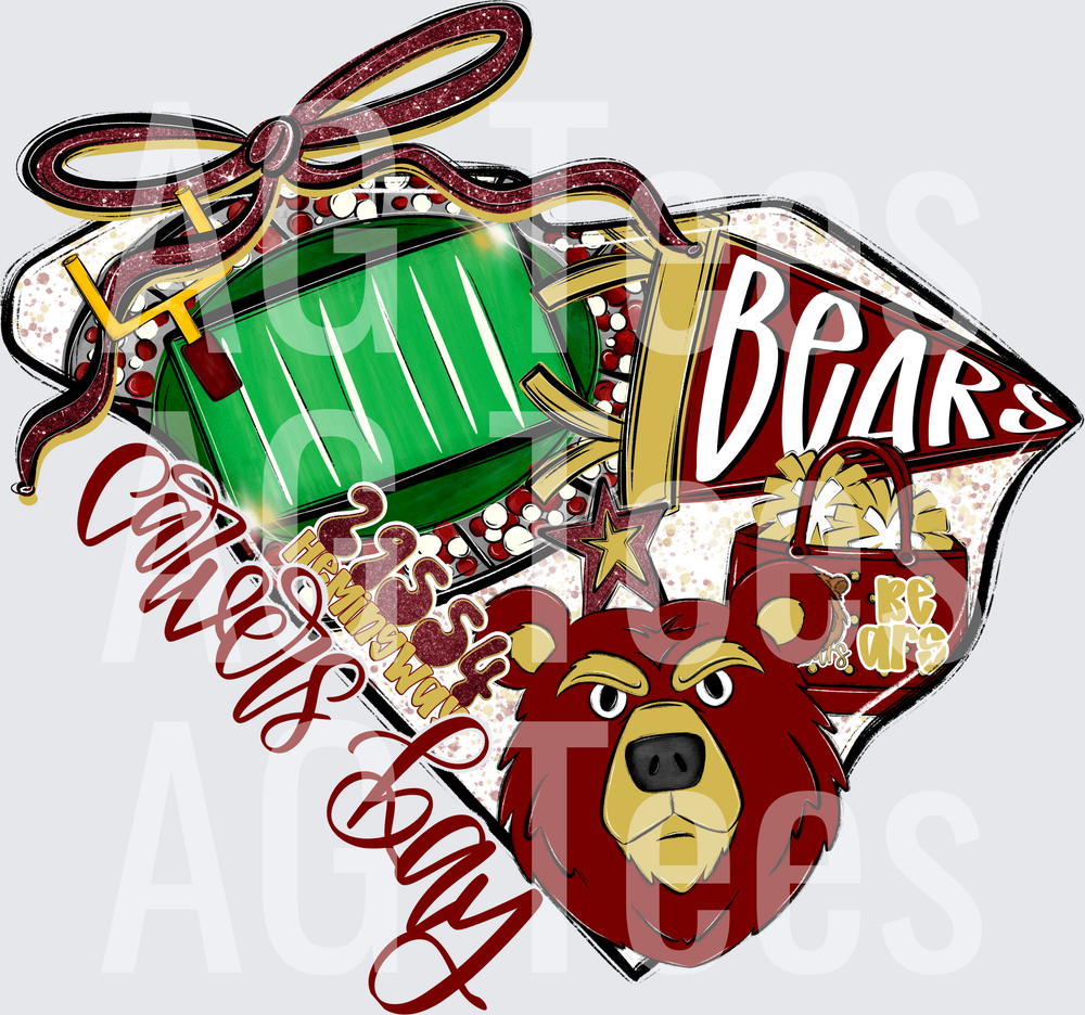 Carvers_Bay_Bears