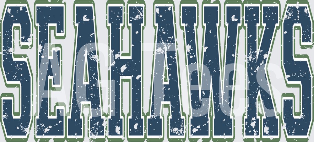 Vintage distressed Seahawks