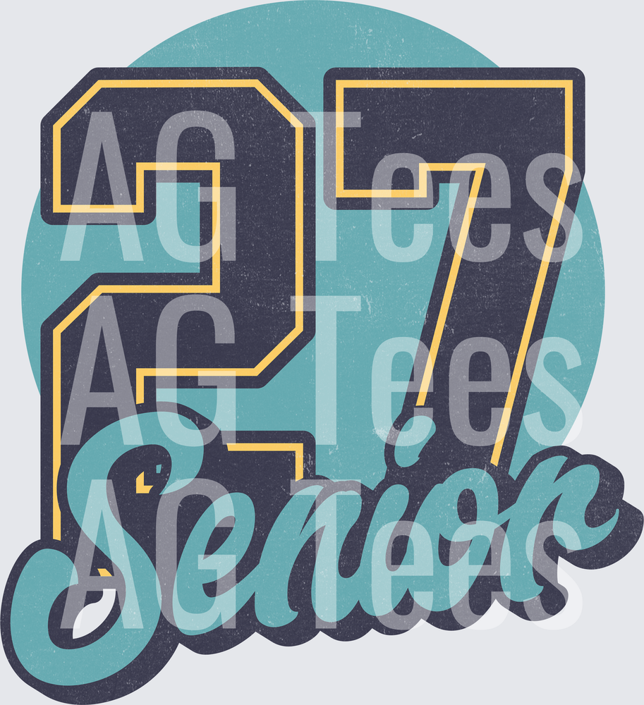 SENIOR DISTRESSED DENIM 27