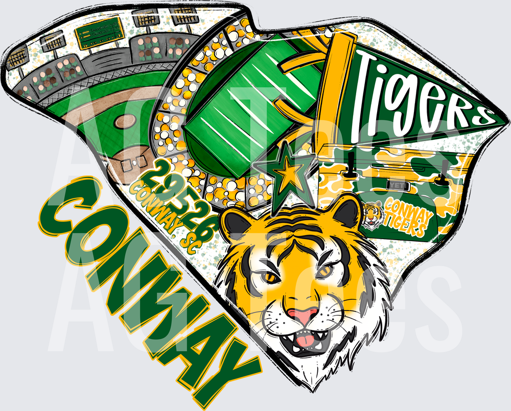 Conway_Tigers_Dude