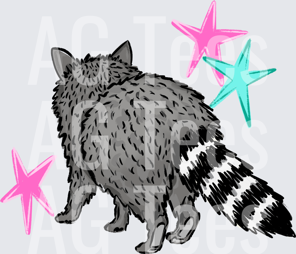 Racoontwo
