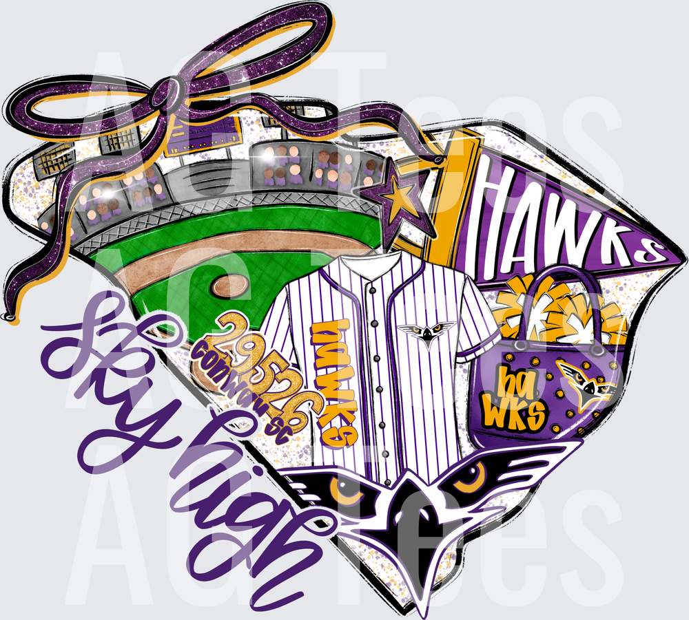 Sky High Hawks