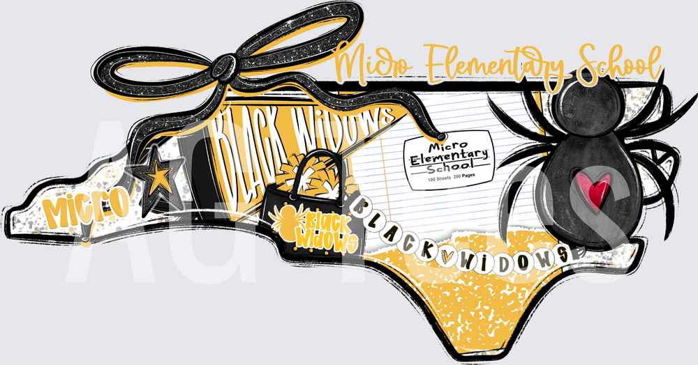 Micro_Elementary_School_Black_Widows