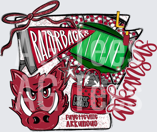 Arkansas Razorbacks
