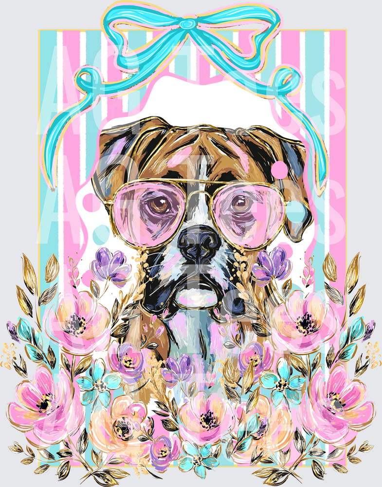 Boxer