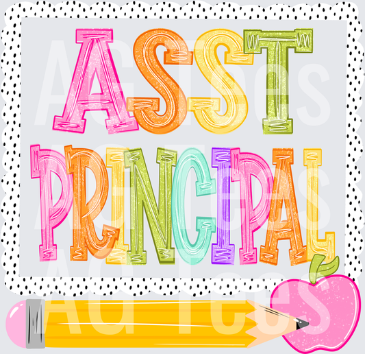 Assistant principal