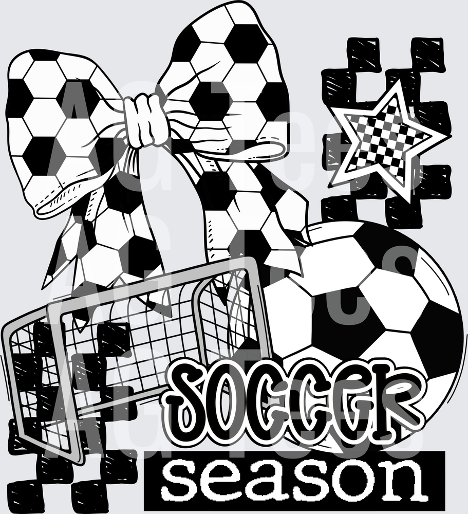Soccer season(2)