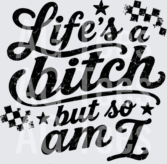 LIFES A BITCH